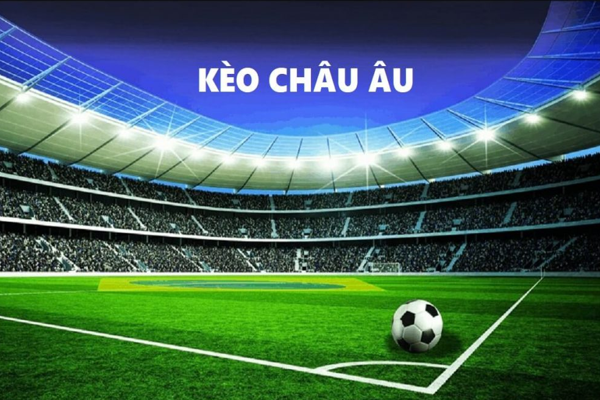 Hướng dẫn về cách đọc tỷ lệ kèo Châu  u chuẩn nhất