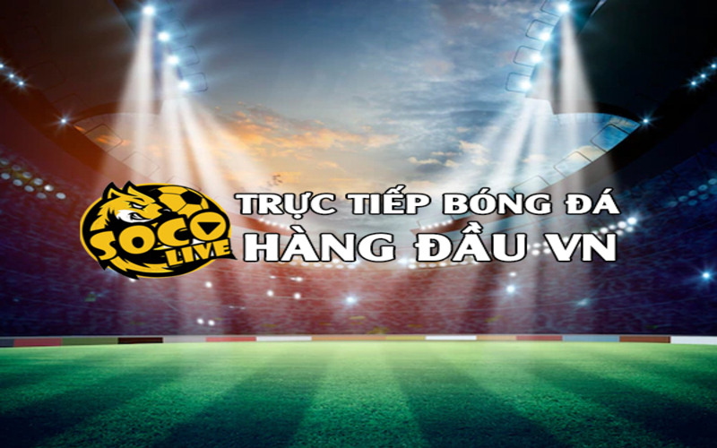 Socolive TV – Điểm đến lý tưởng dành cho dân cá cược